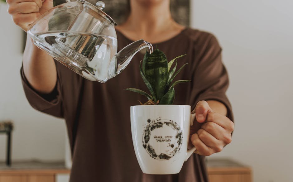 Woman Watering Plant In Cup