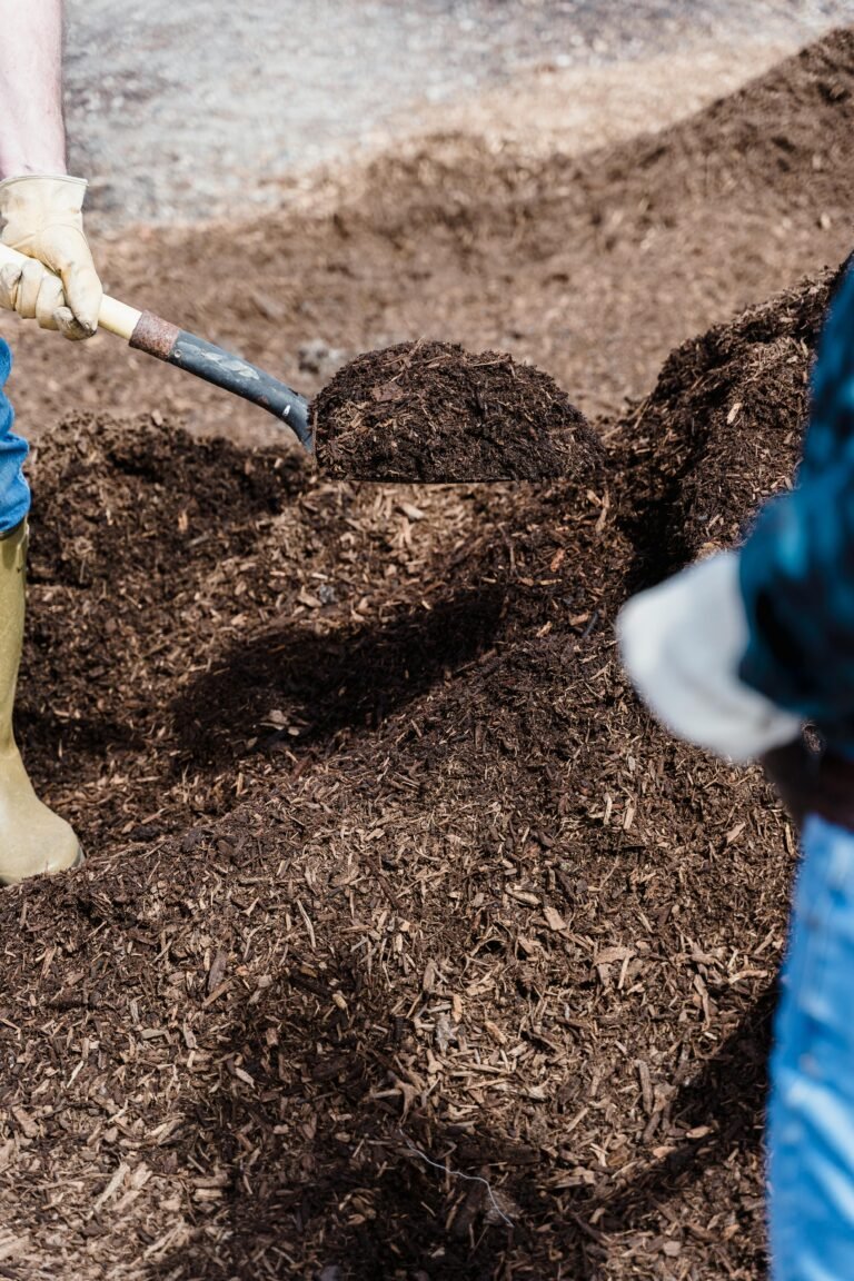 A Person Shoveling the Soil