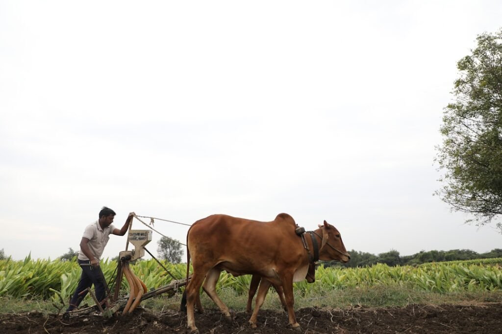 Senate Farm Bill 2026