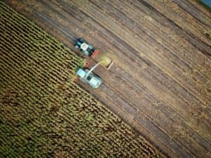 specialty crop assistance program