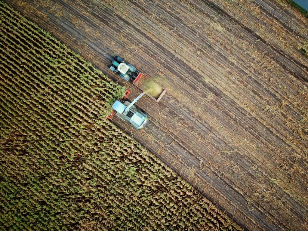 specialty crop assistance